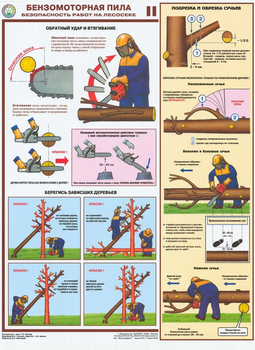 ПС25 Бензомоторная пила. Безопасность работ на лесосеке (пластик, А2, 3 листа) - Плакаты - Безопасность труда - vektorb.ru